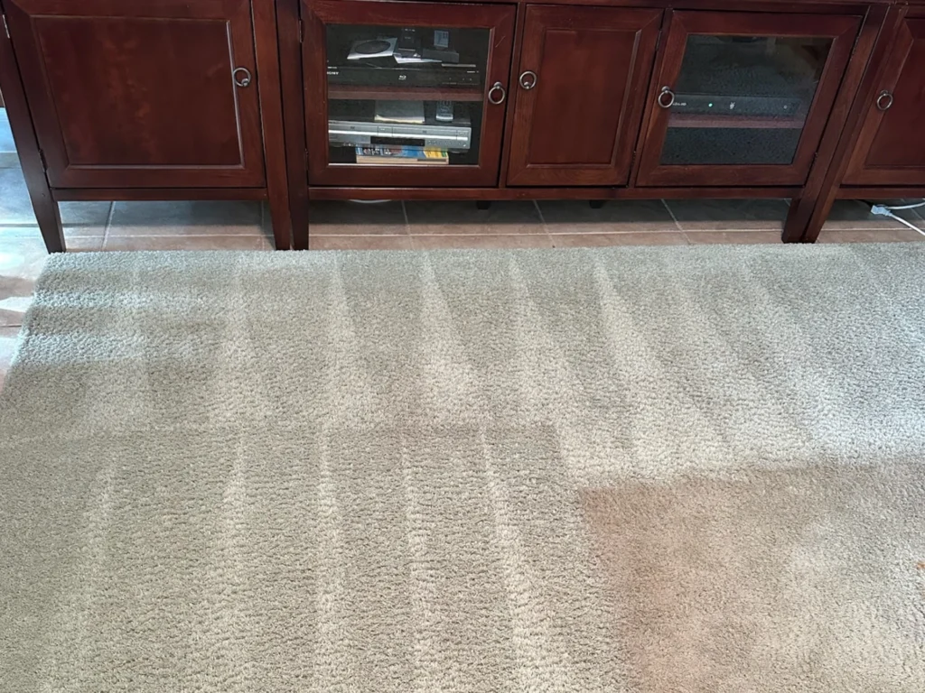beige living room area rug cleaning before and after