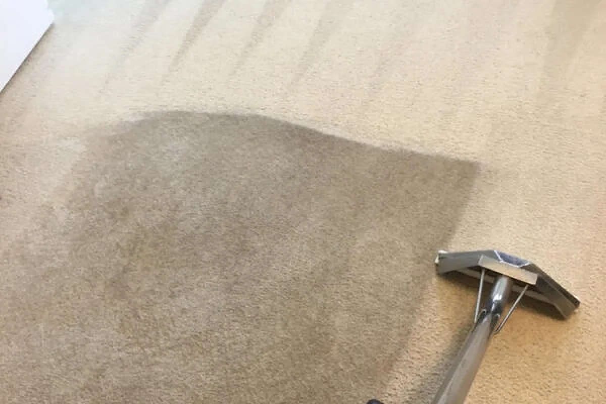carpet steam cleaning service removes dirt, alergens and odors